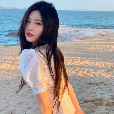 费罗兹 封面